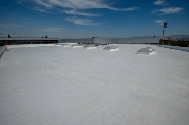 Best Skylights  in Kane, PA