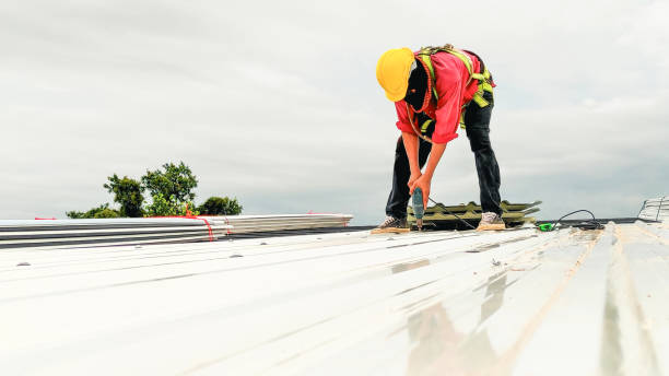 Best Roof Moss and Algae Removal  in Kane, PA
