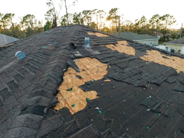 Best Wood Shake Roofing  in Kane, PA